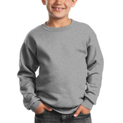 Copy of Youth Crewneck Sweatshirt